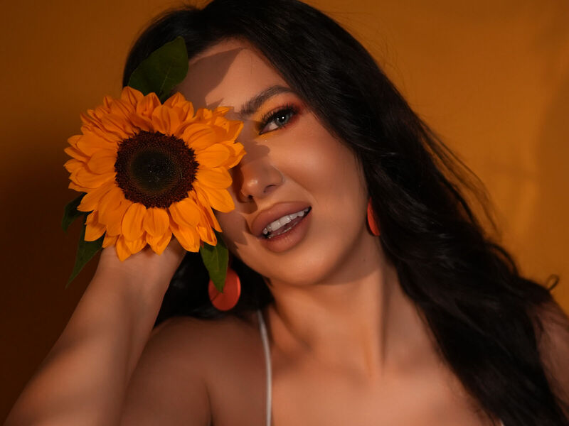 Locating your path throughout  the website is pretty effortless, also given  the dimensions  of the meeting