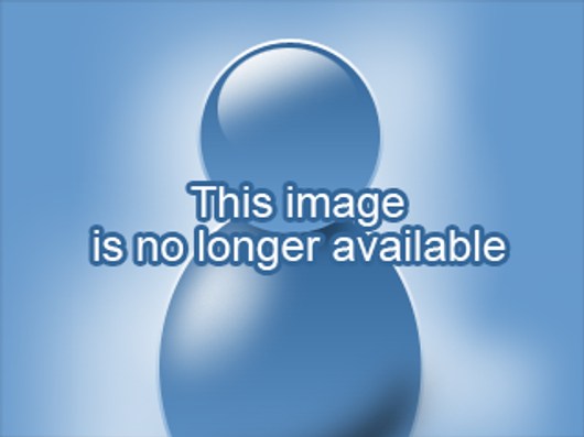 Be sure to take place and be a part of online cam for enjoyable